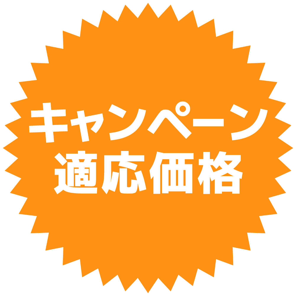 キャンペーン適応価格